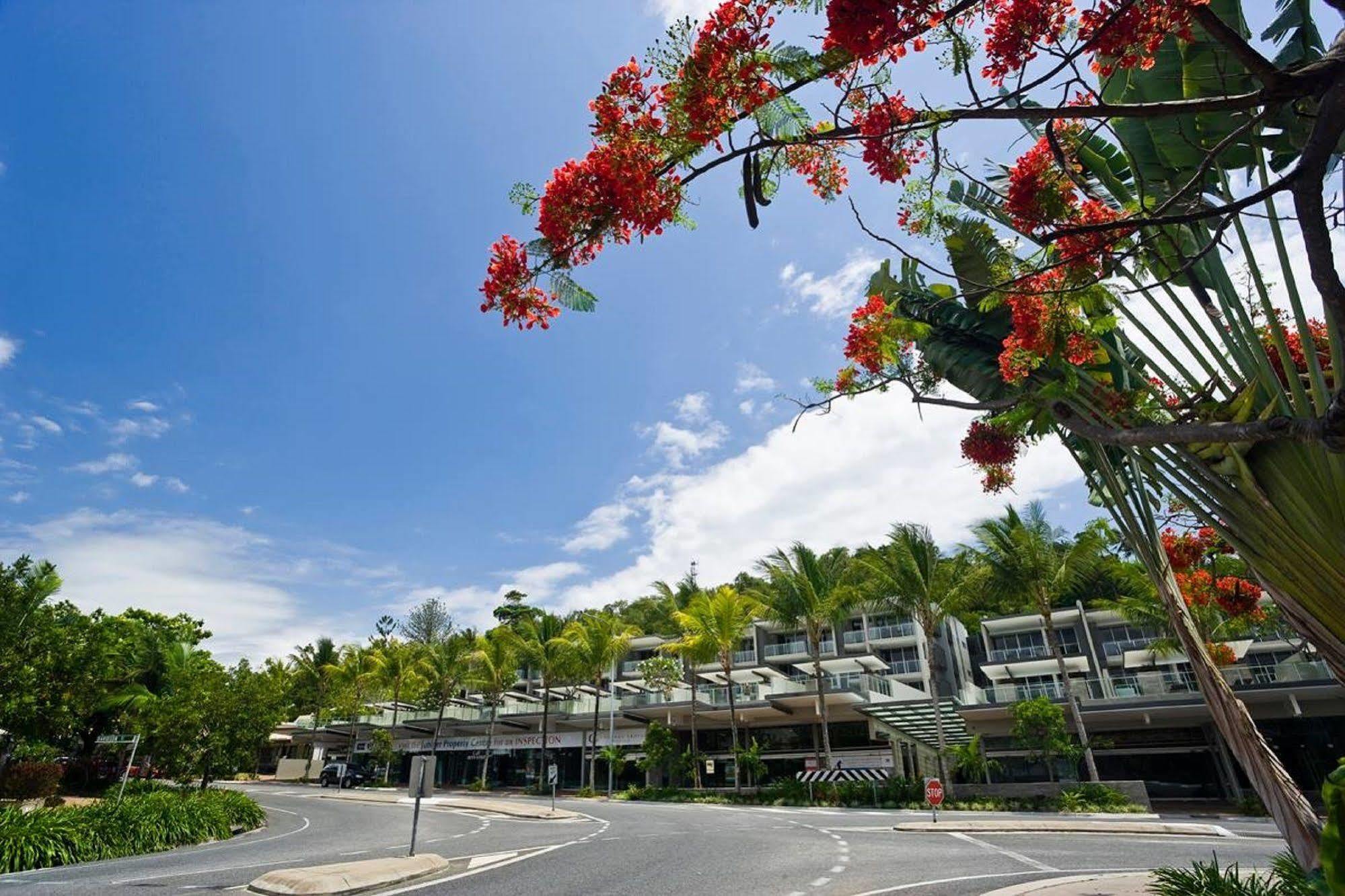 Coconut Grove Aparthotel Port Douglas Luaran gambar